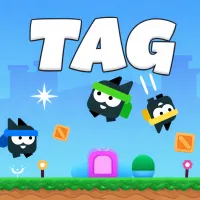 Tag Game